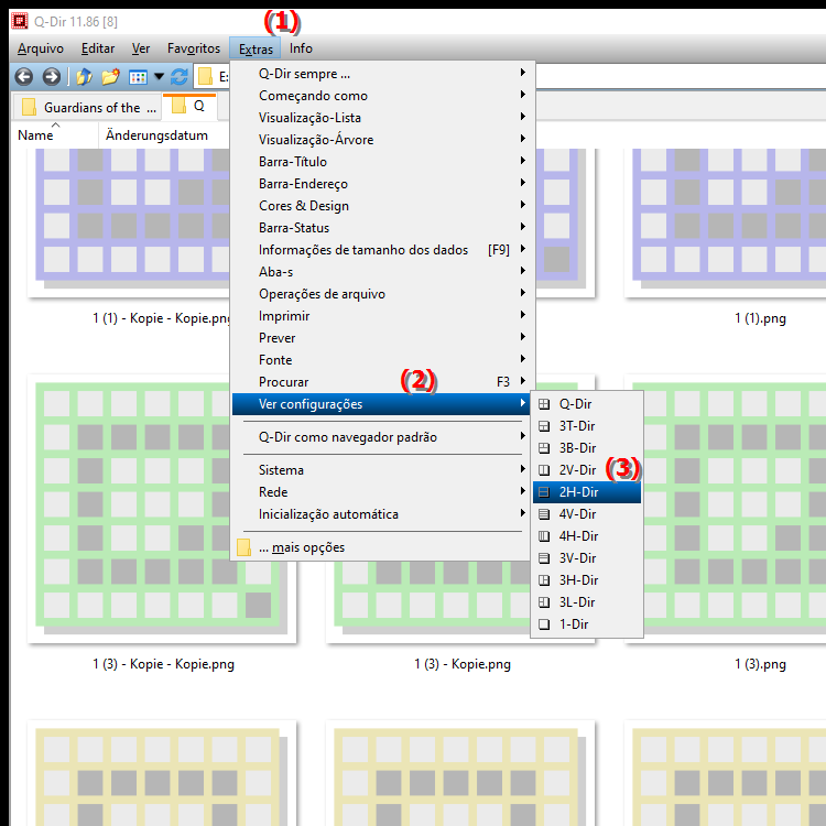 O que a visualização 2H Dir oferece no Quad File Explorer Q Dir